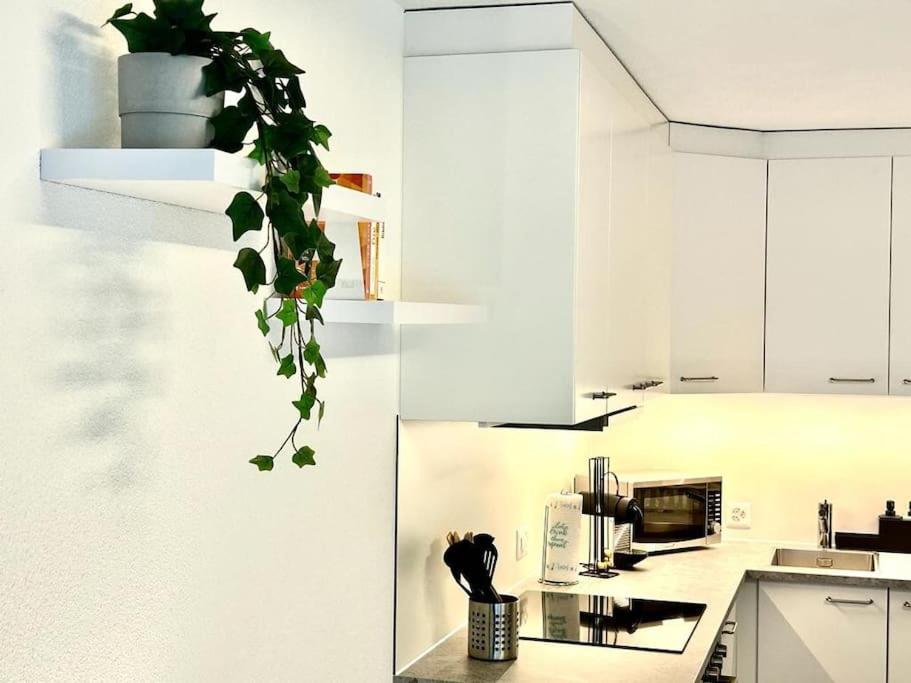 Casa Ambizione Leilighet Dietikon Eksteriør bilde